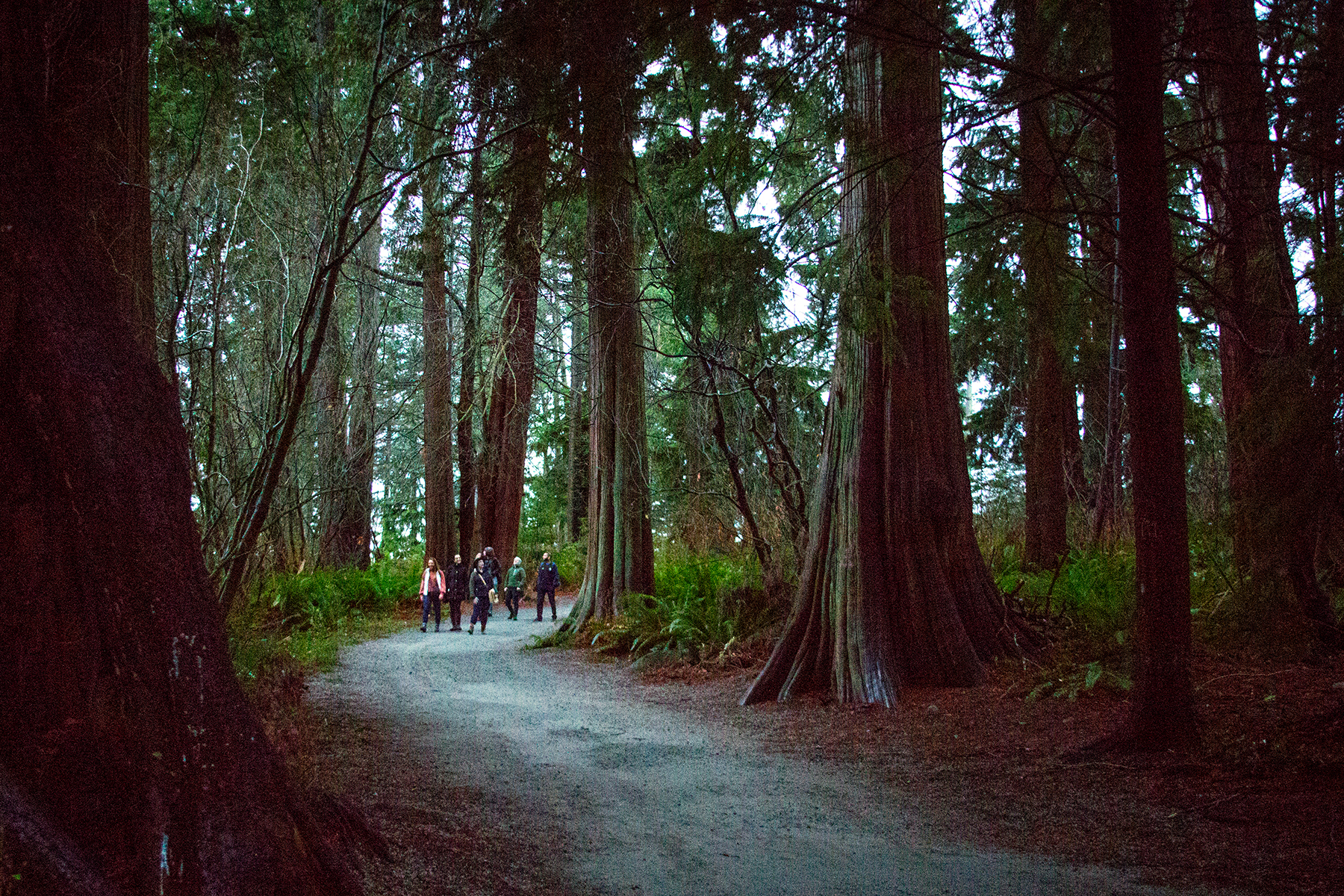 Dark Secrets of Stanley Park Tour, Vancouver, BC, Canada